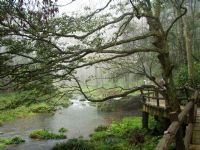 ���Ϫ�L��